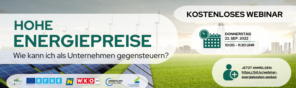 HOHE ENERGIEPREISE: Wie kann ich als Unternehmen gegensteuern?