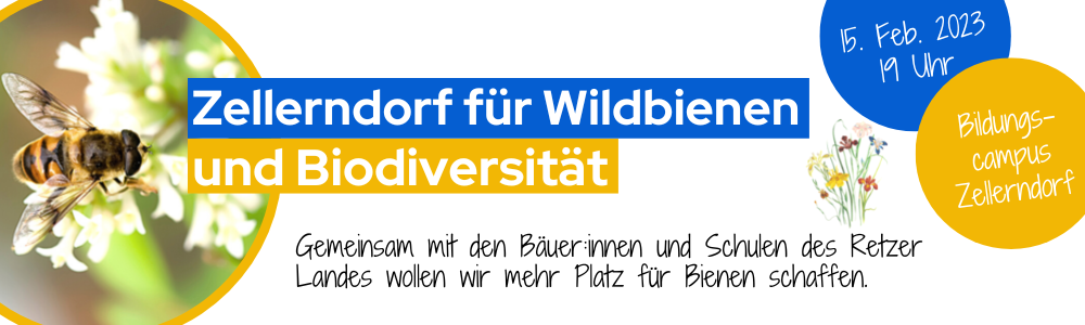 Zellerndorf für Wildbienen und Biodiversität