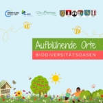 Aufblühende Orte – Herbstzeit ist Pflanzzeit