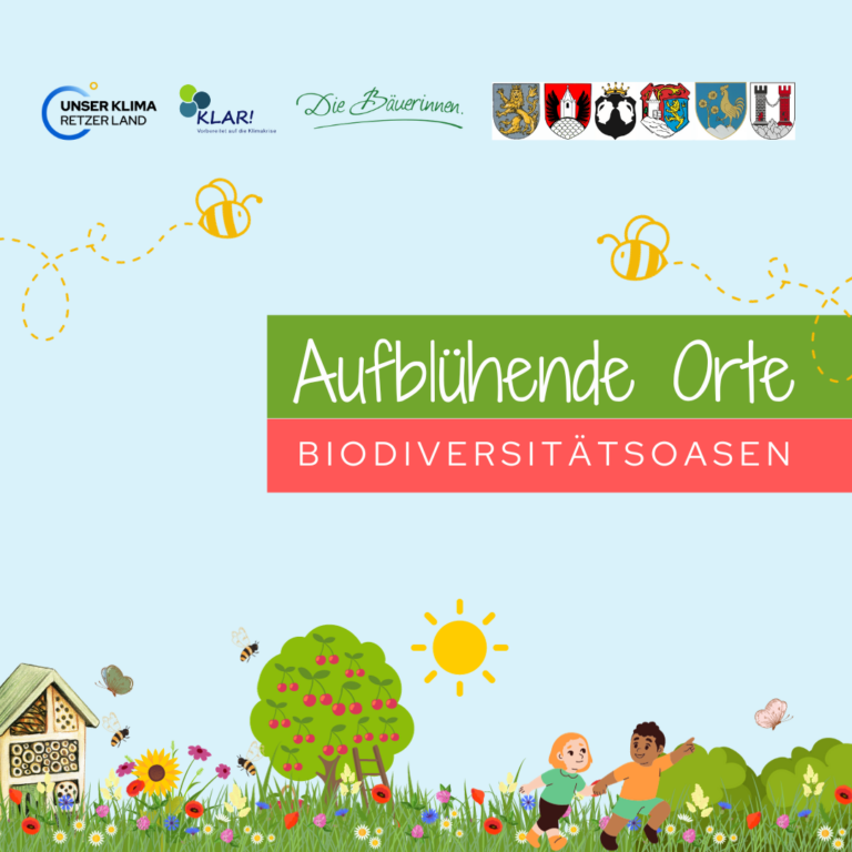 Read more about the article Aufblühende Orte – Herbstzeit ist Pflanzzeit