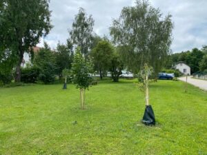 Waitzendorf (Schrattenthal)