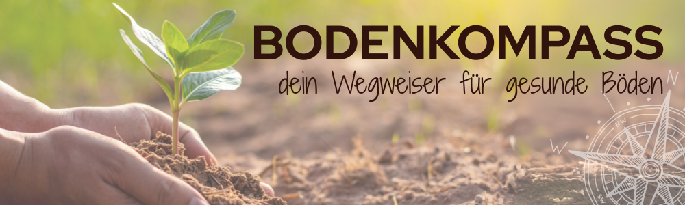 Mehr über den Artikel erfahren Bodenkompass: Dein Wegweiser für gesunde Böden