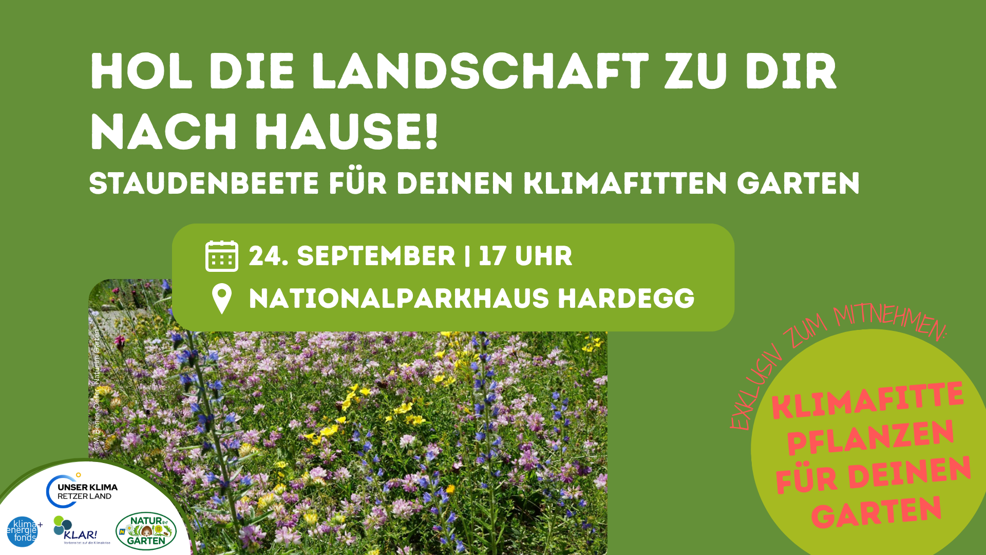 Anleitung für einen klimafitten Garten