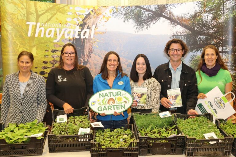 Mehr über den Artikel erfahren Staudenbeete als Multitalente: Klimafitter Garten leicht gemacht